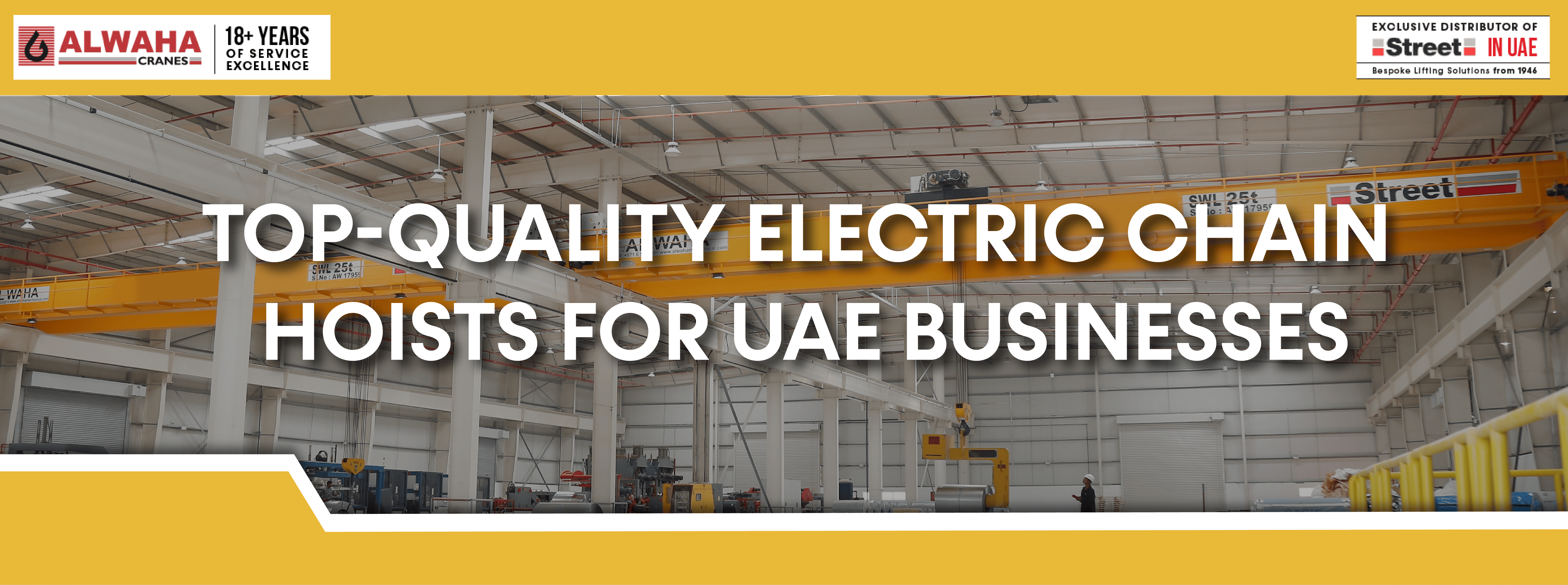 Top-Quality Electric Chain Hoists for UAE Businesses